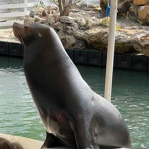 Meet your Posher, Fred